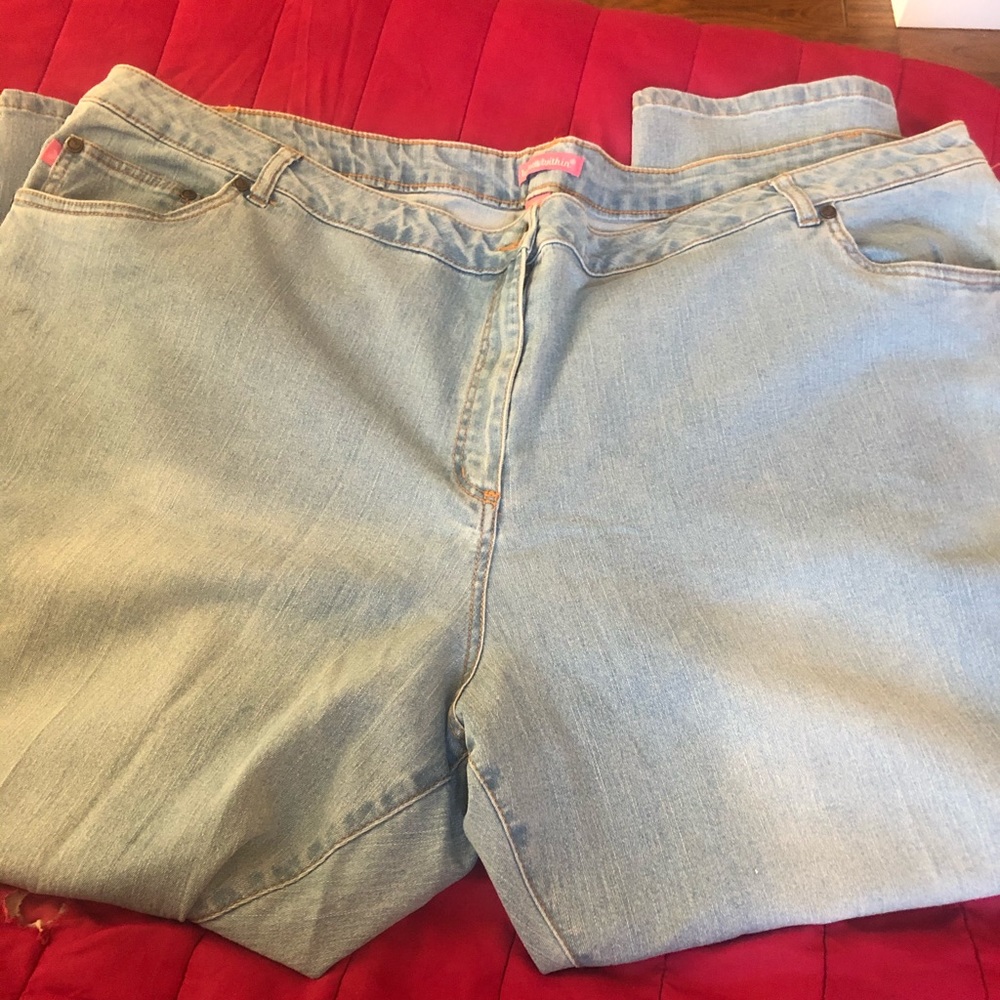 NWOT Plus size jeans